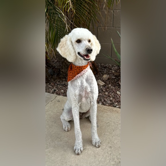 Hello! ππ΄ - Picture 7 of 16